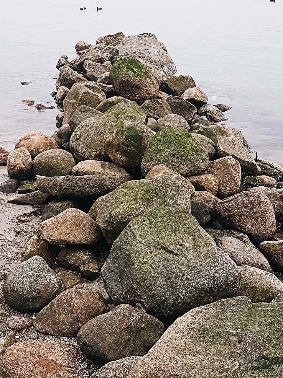 stone sea coast free photo