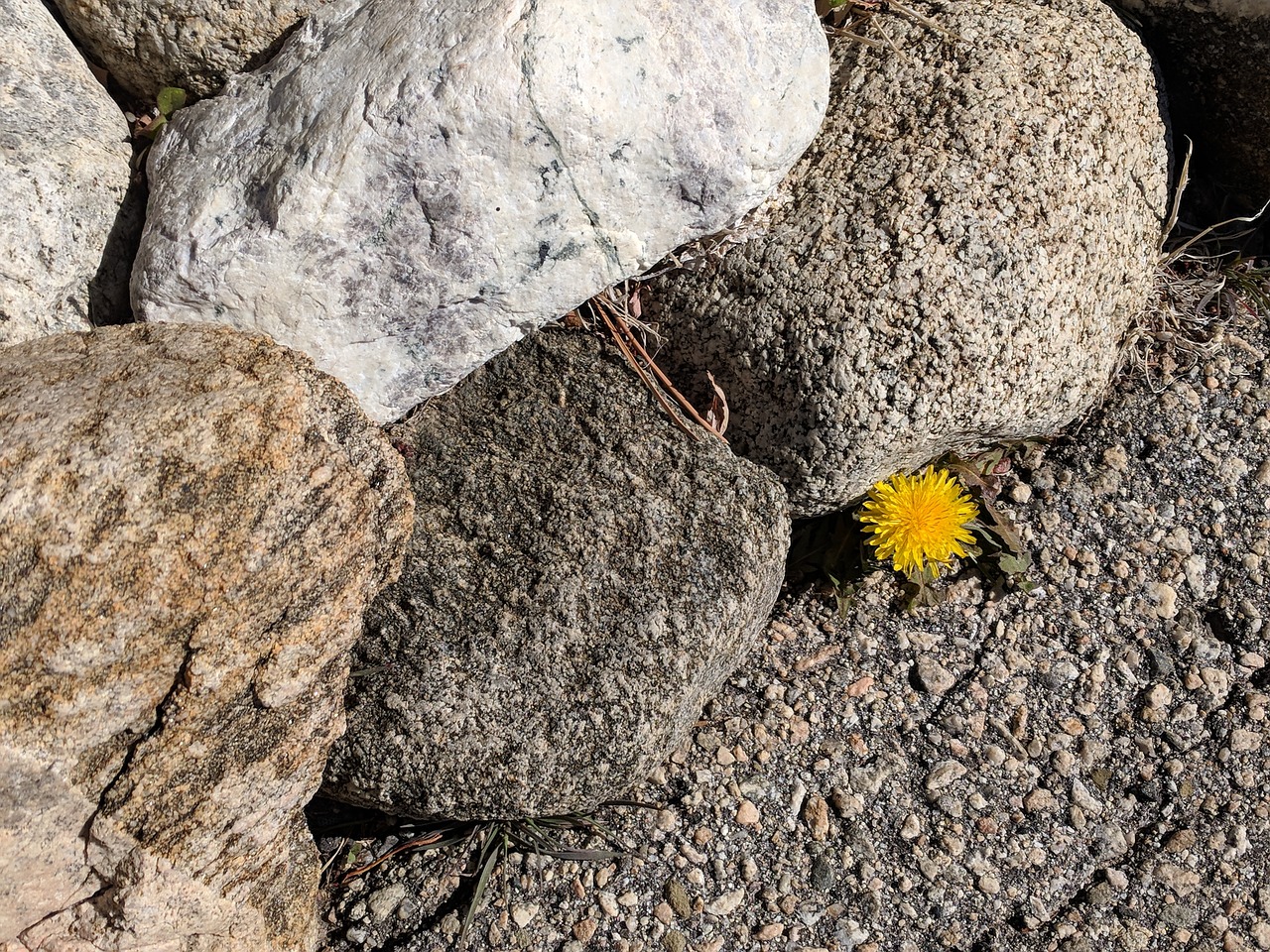 stone  nature  rock free photo