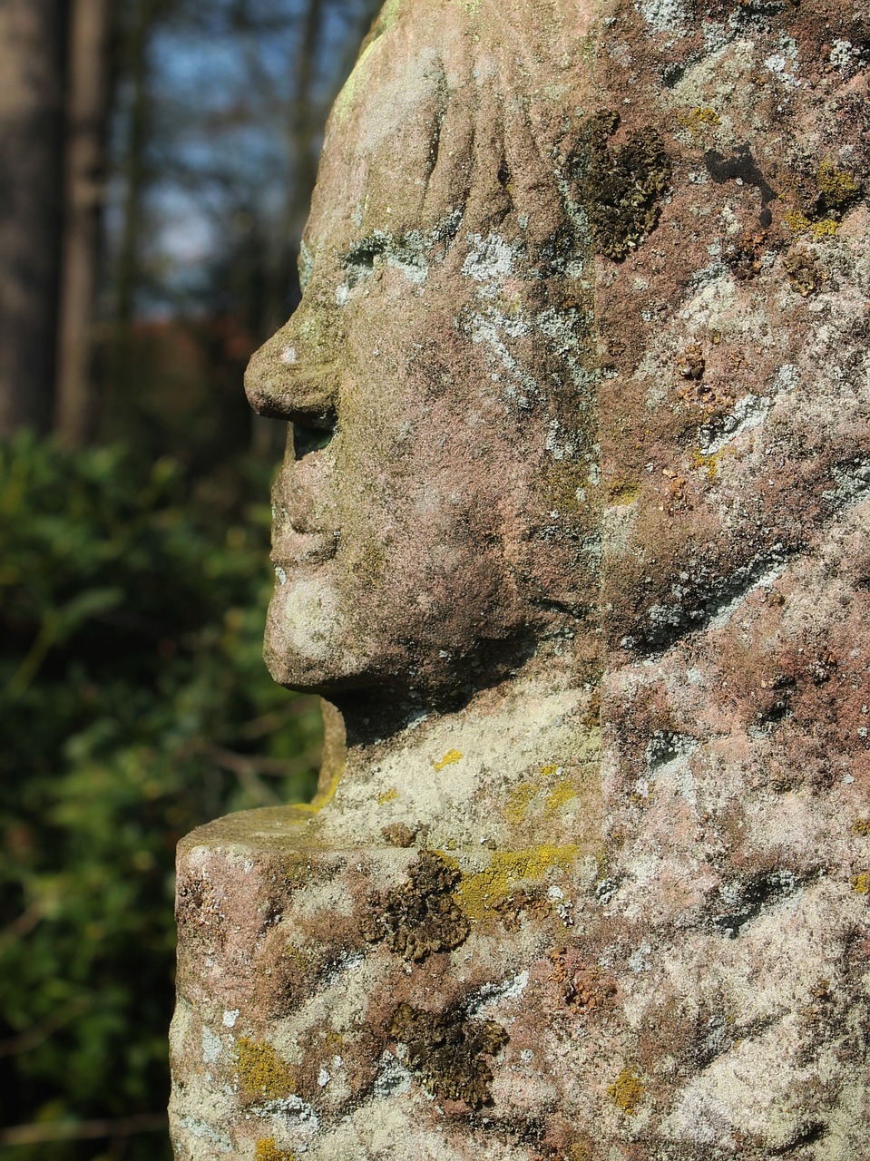 stone  rock  nature free photo