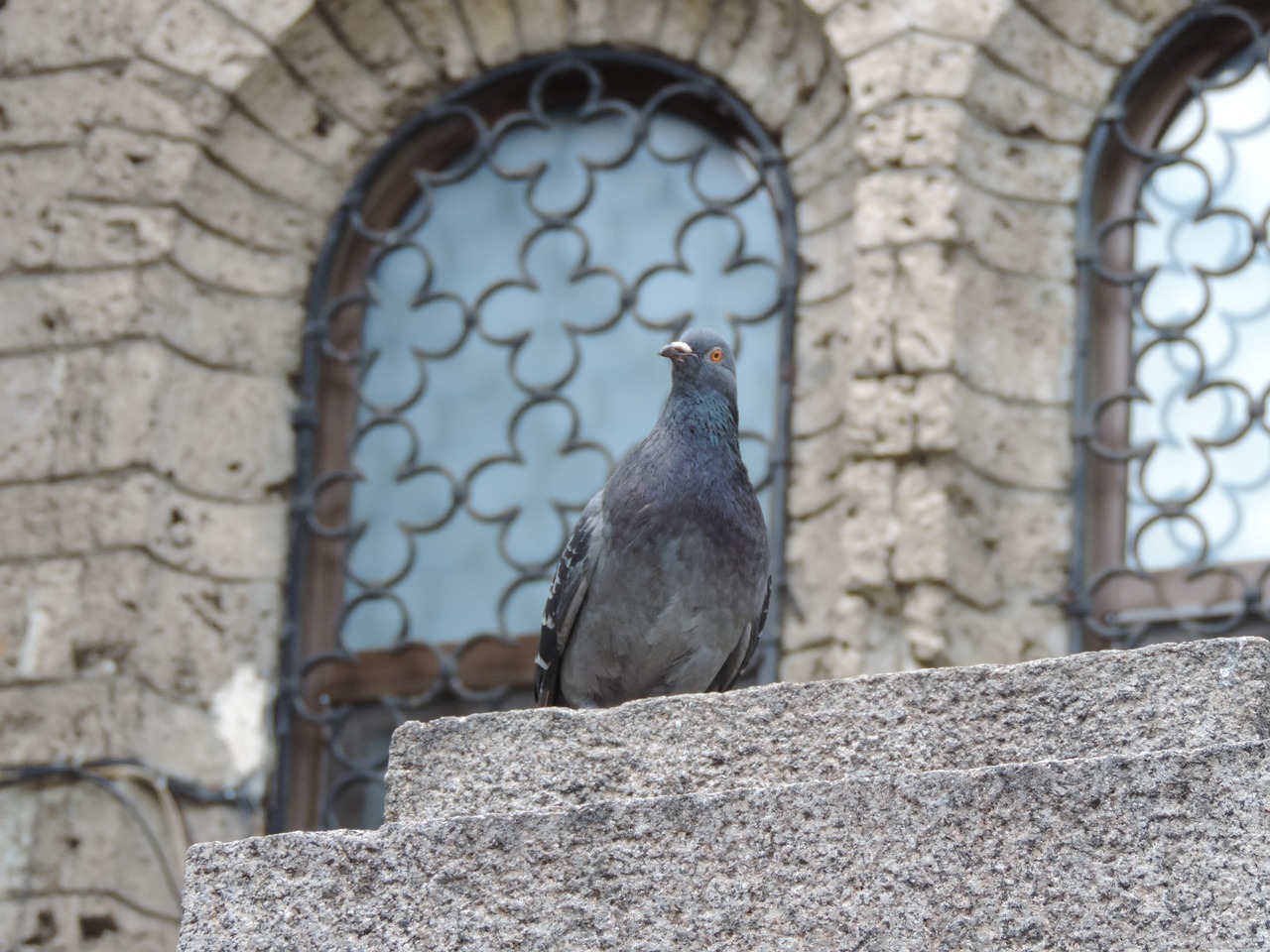 stone  old  architecture free photo