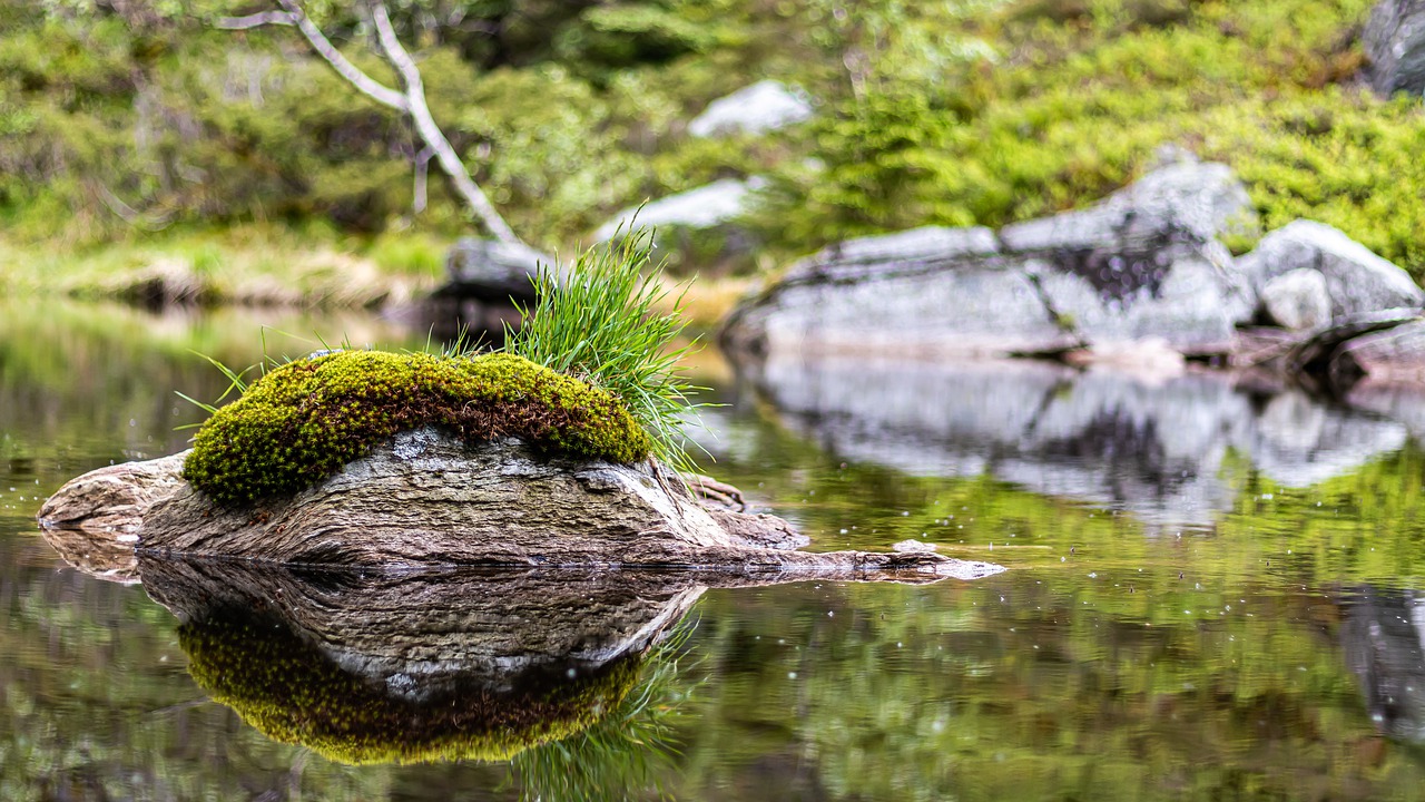 stone  water  reflection free photo