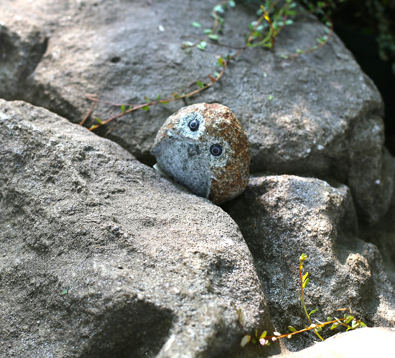 stone owl bird free photo