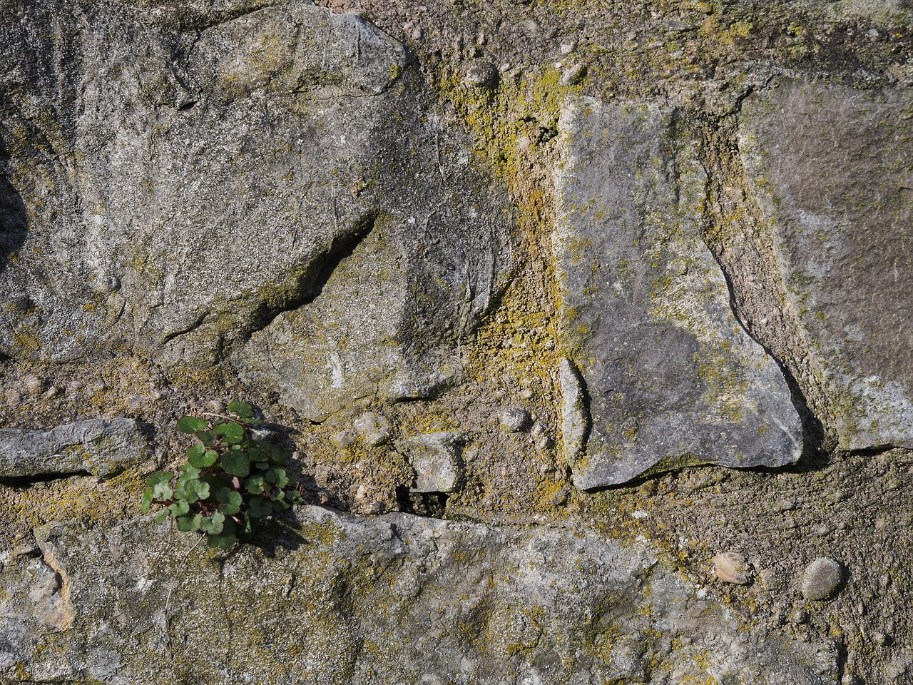 stone wall pattern free photo