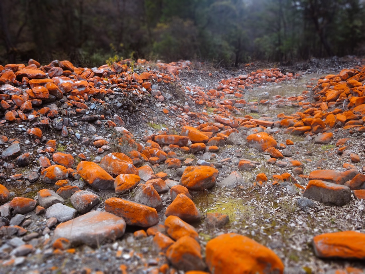 stone red road free photo