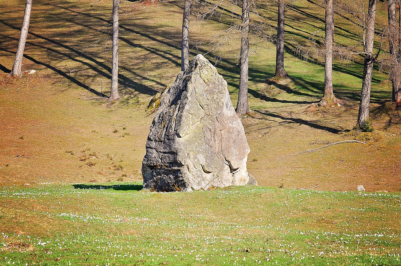 stone force field meadow free photo