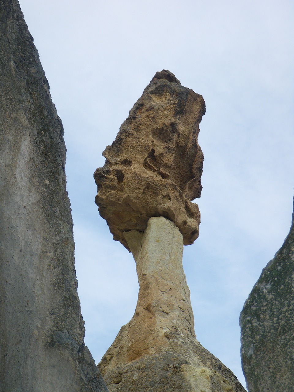stone rotten mushroom free photo