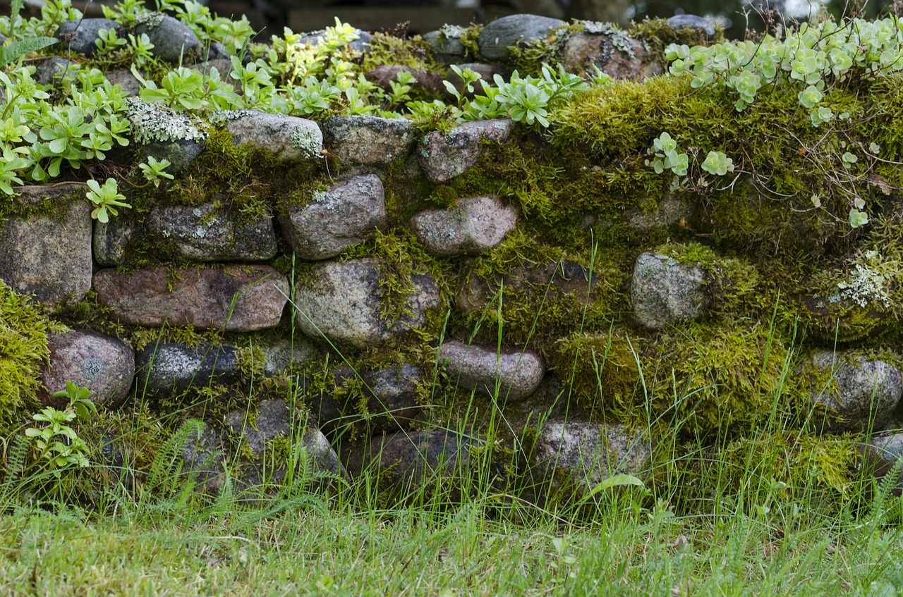 stone moss garden free photo