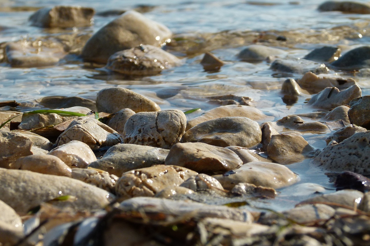 stone water nature free photo