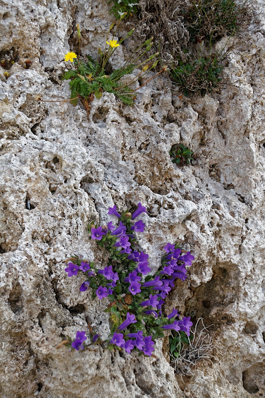 stone rock greece free photo