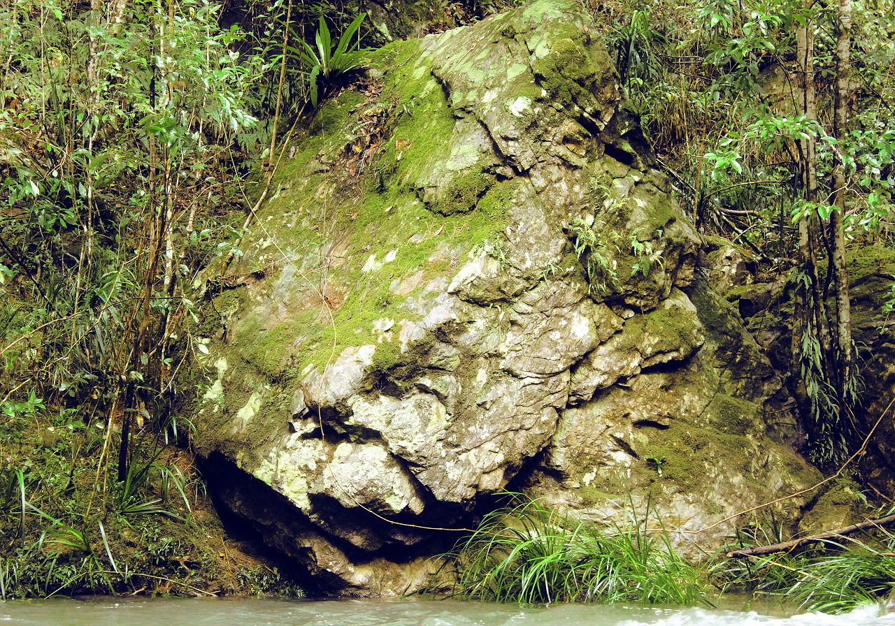 stone moss riverbank free photo