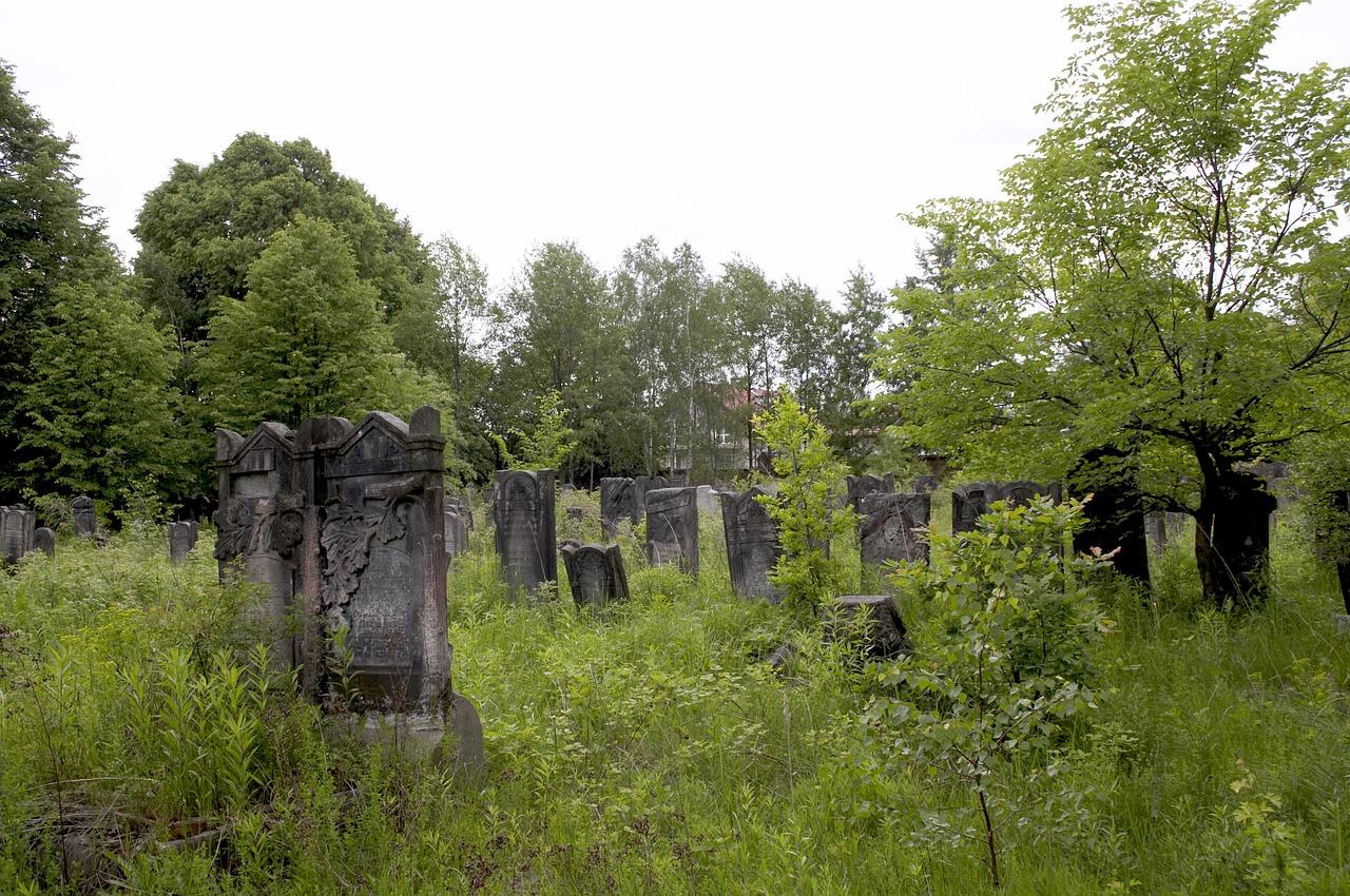 stone trees graves free photo