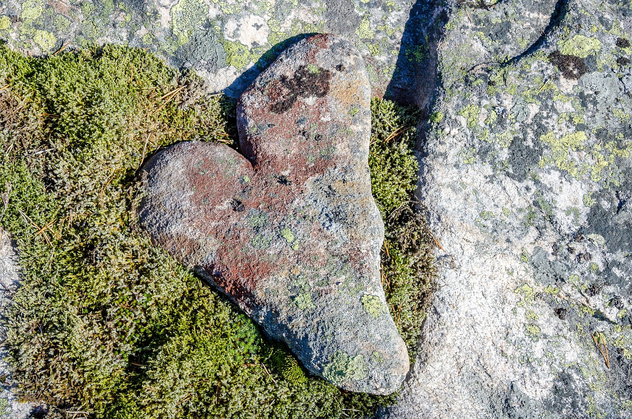 stone heart natural free photo