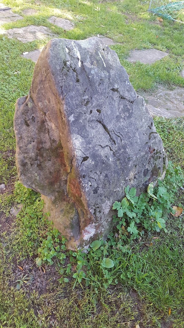 stone moss limescale free photo