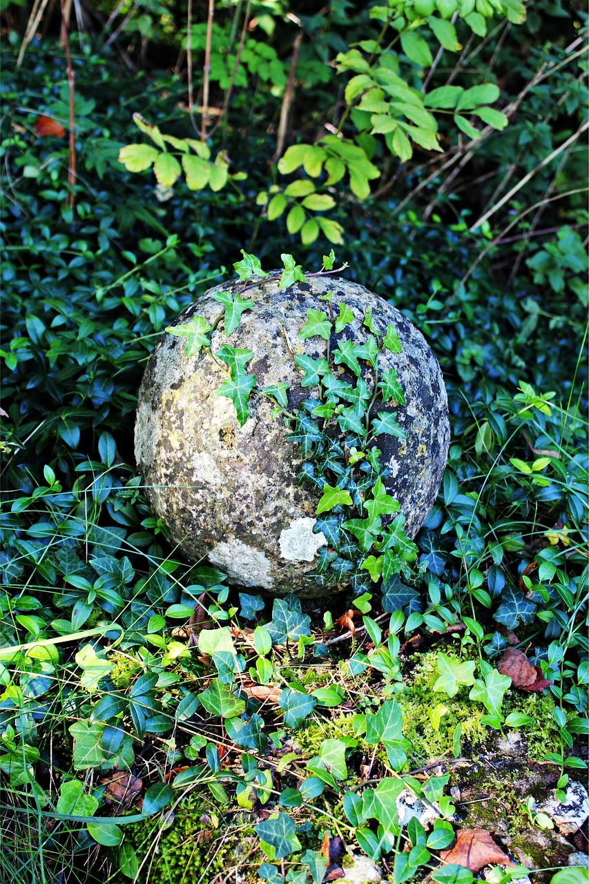 stone ball ivy ball free photo