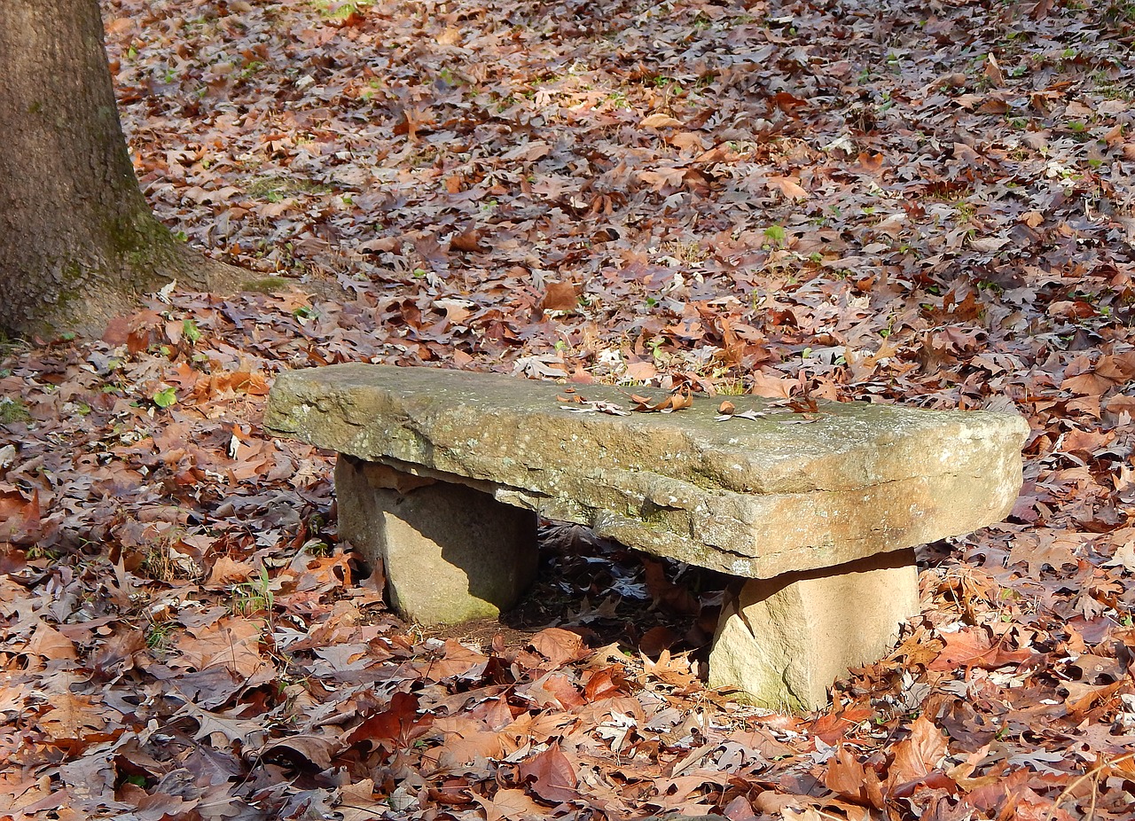 stone bench bench stone free photo
