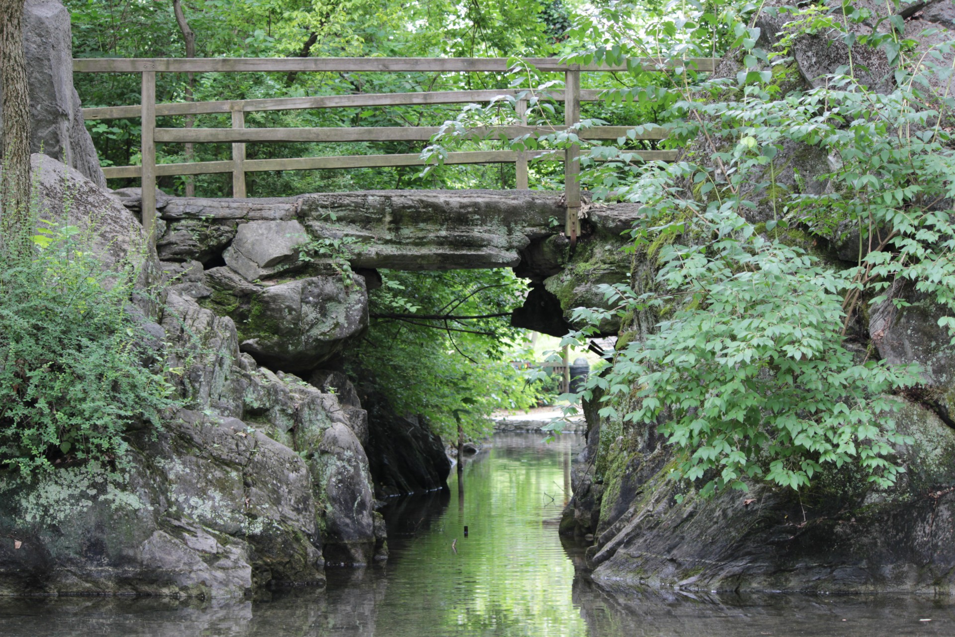 stone bridge trail free photo