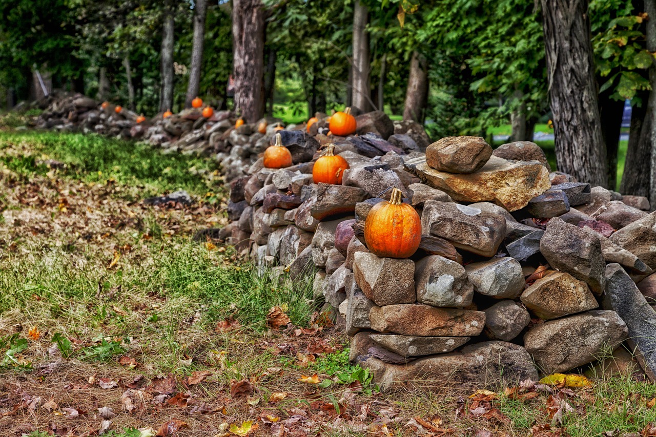 stone fence connecticut forest free photo