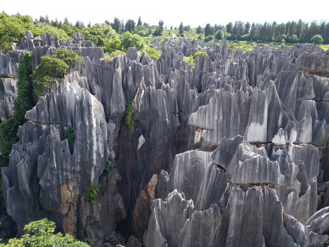 stone forest in yunnan province the scenery free photo