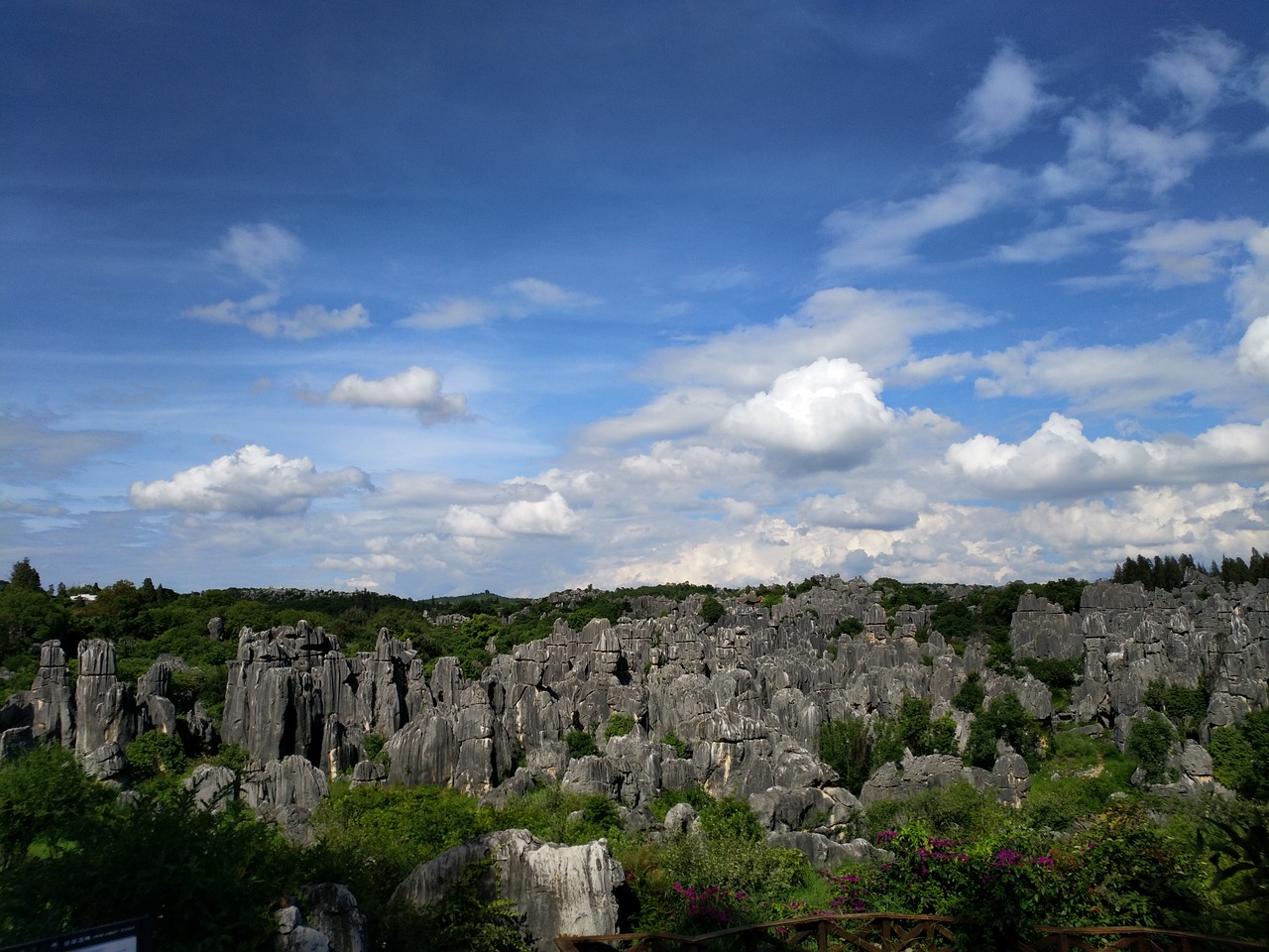 stone forest in yunnan province the scenery free photo