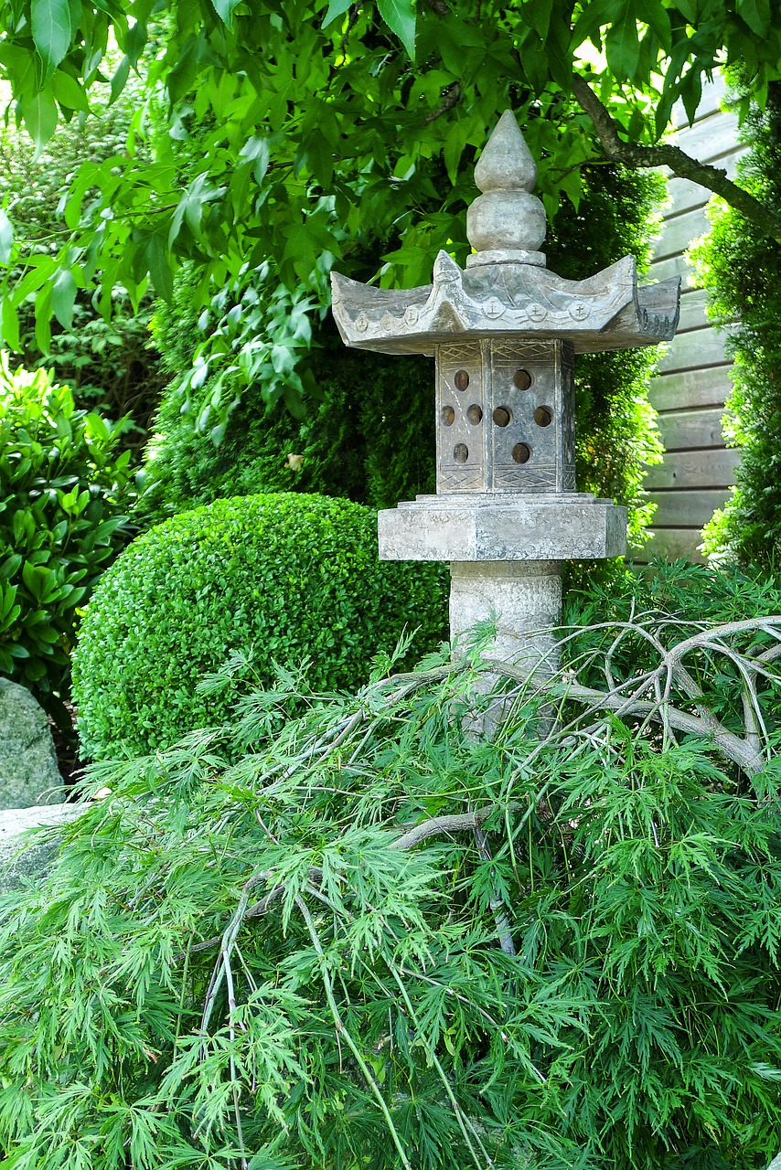 stone lantern garden maple free photo