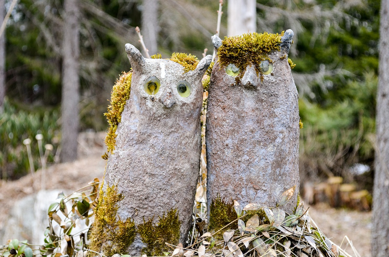 stone owl owls statues free photo