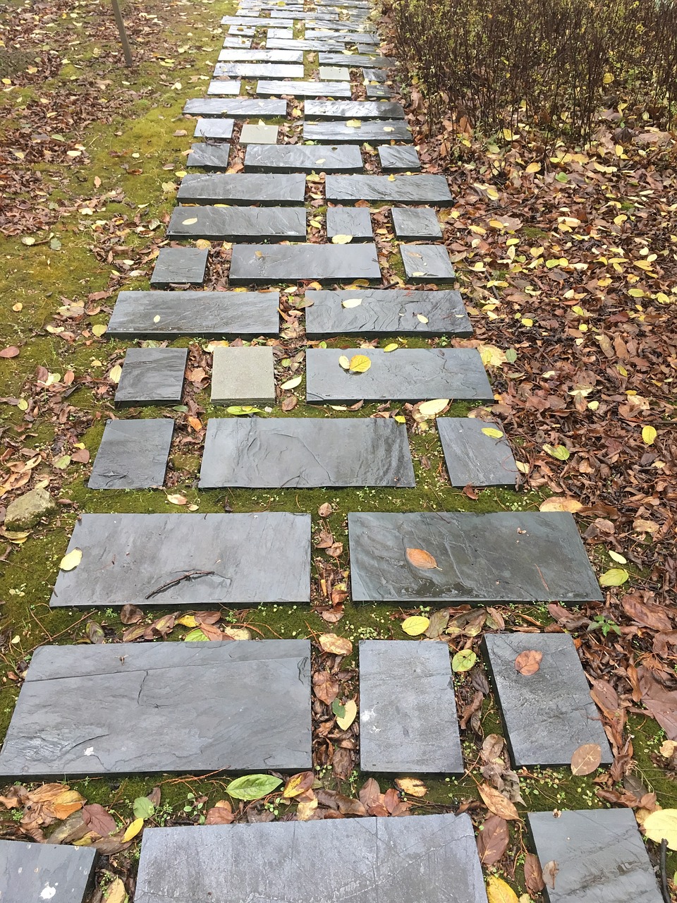 stone path the i ching trail autumn is not free photo