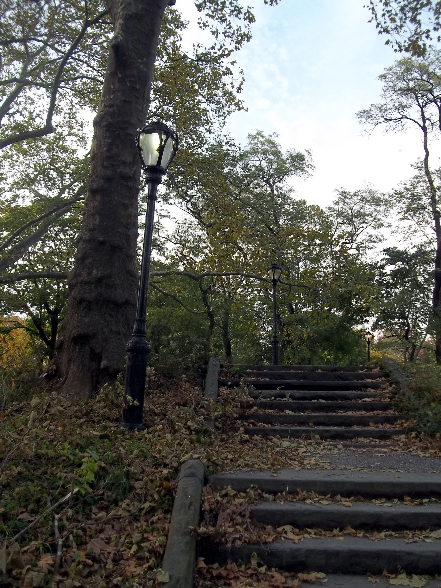 path lamppost leaves free photo