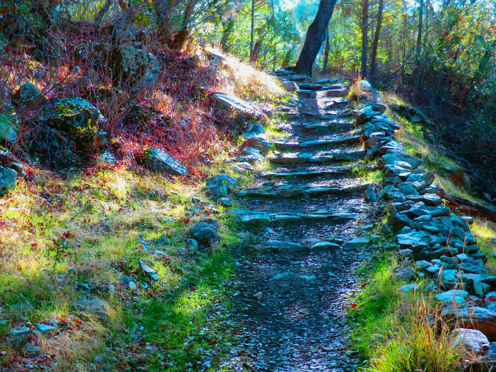 stone steps stairs free photo