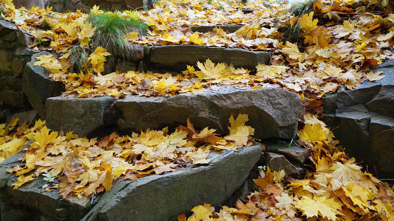 stone stairway forest gradually free photo