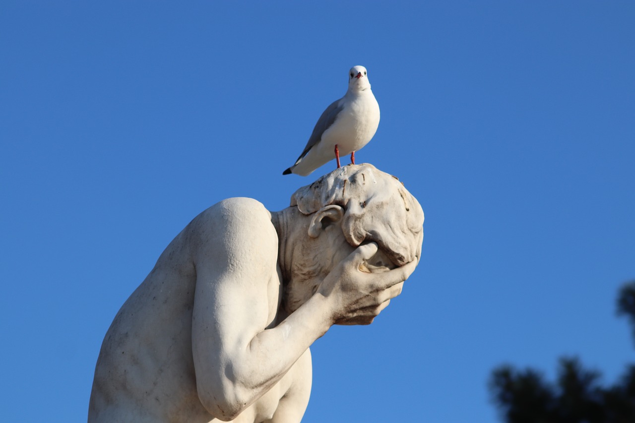 stone statue  sculpture  seagull free photo