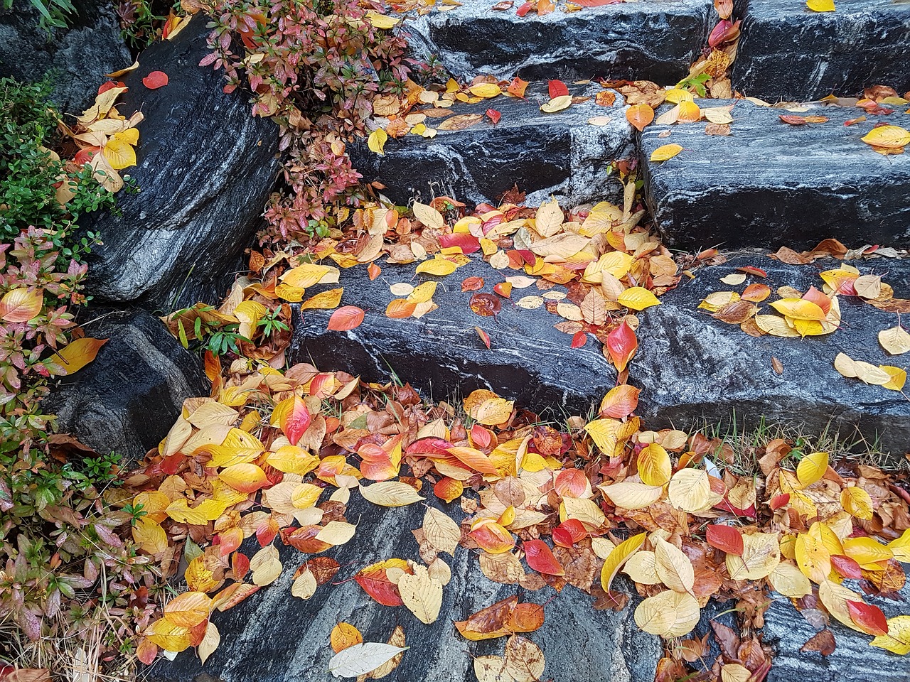 stone steps leaves autumn leaves free photo