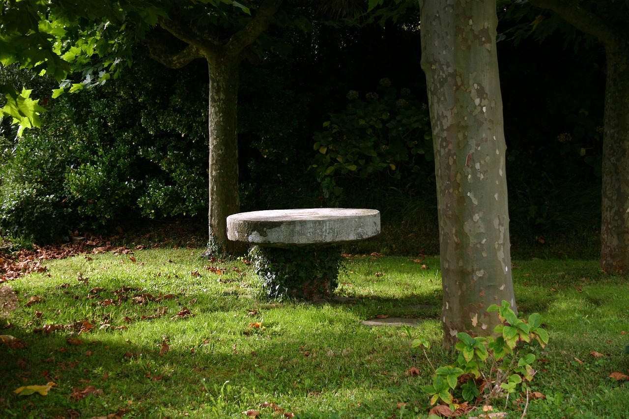 stone table grass nature free photo