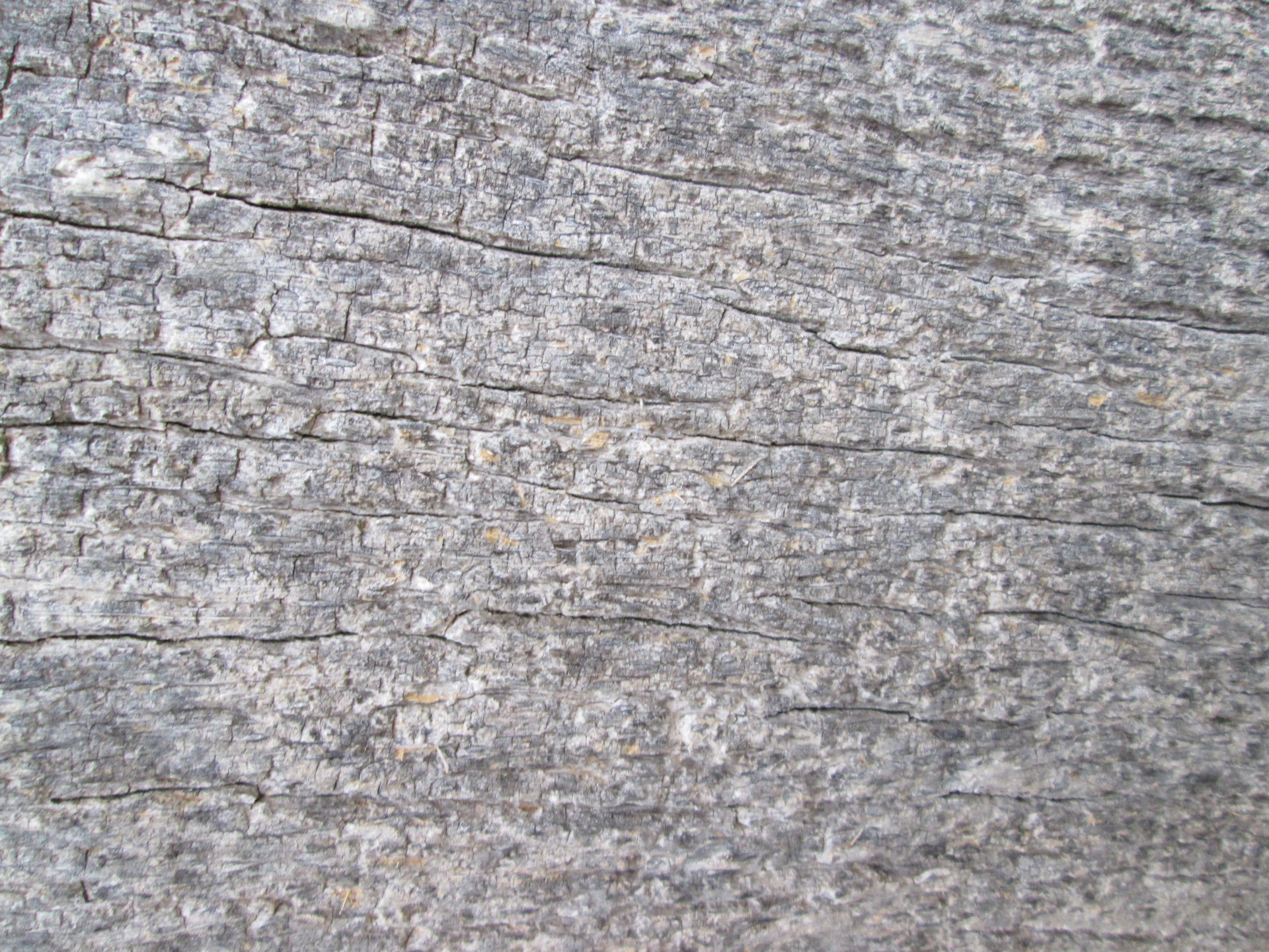 stone texture background free photo