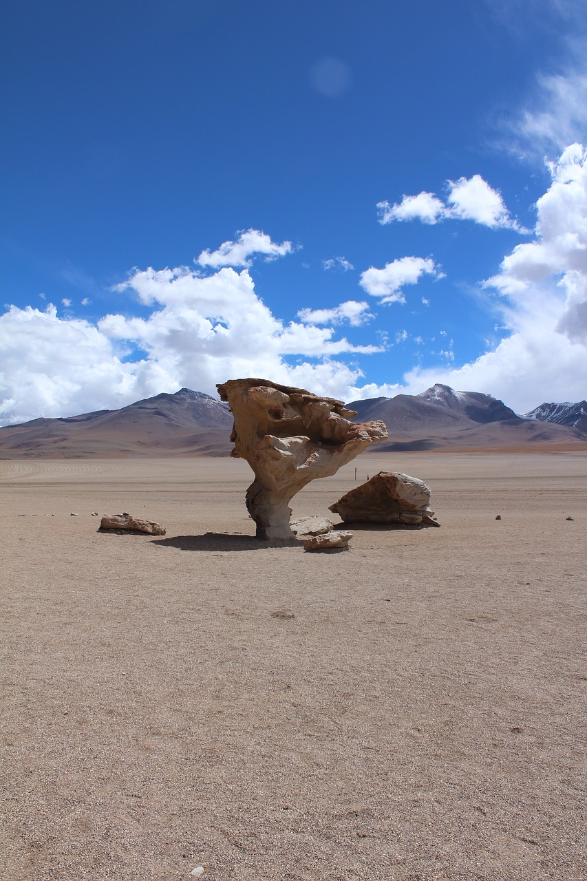 stone tree bolivia travel free photo