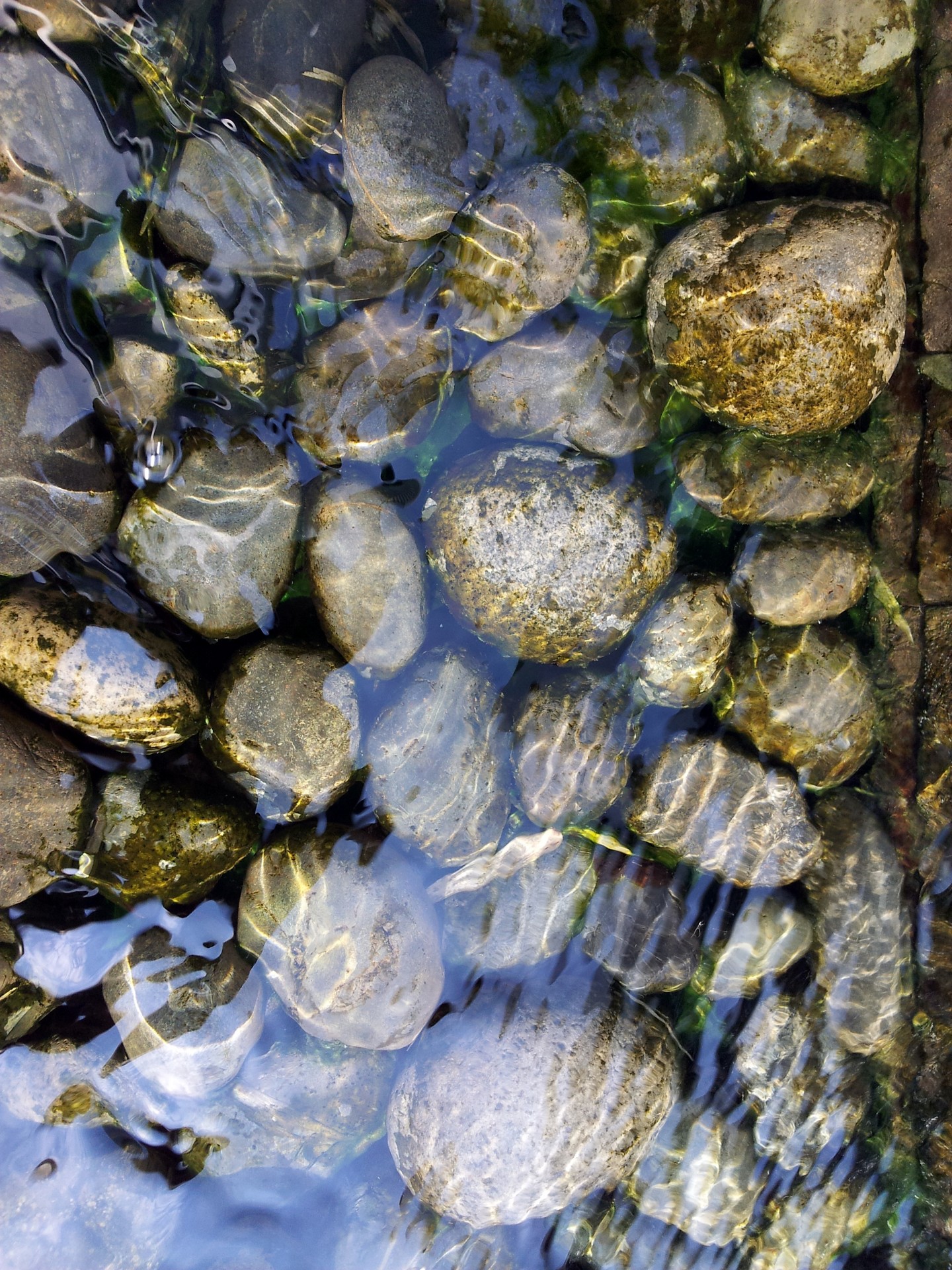 stone under water free photo