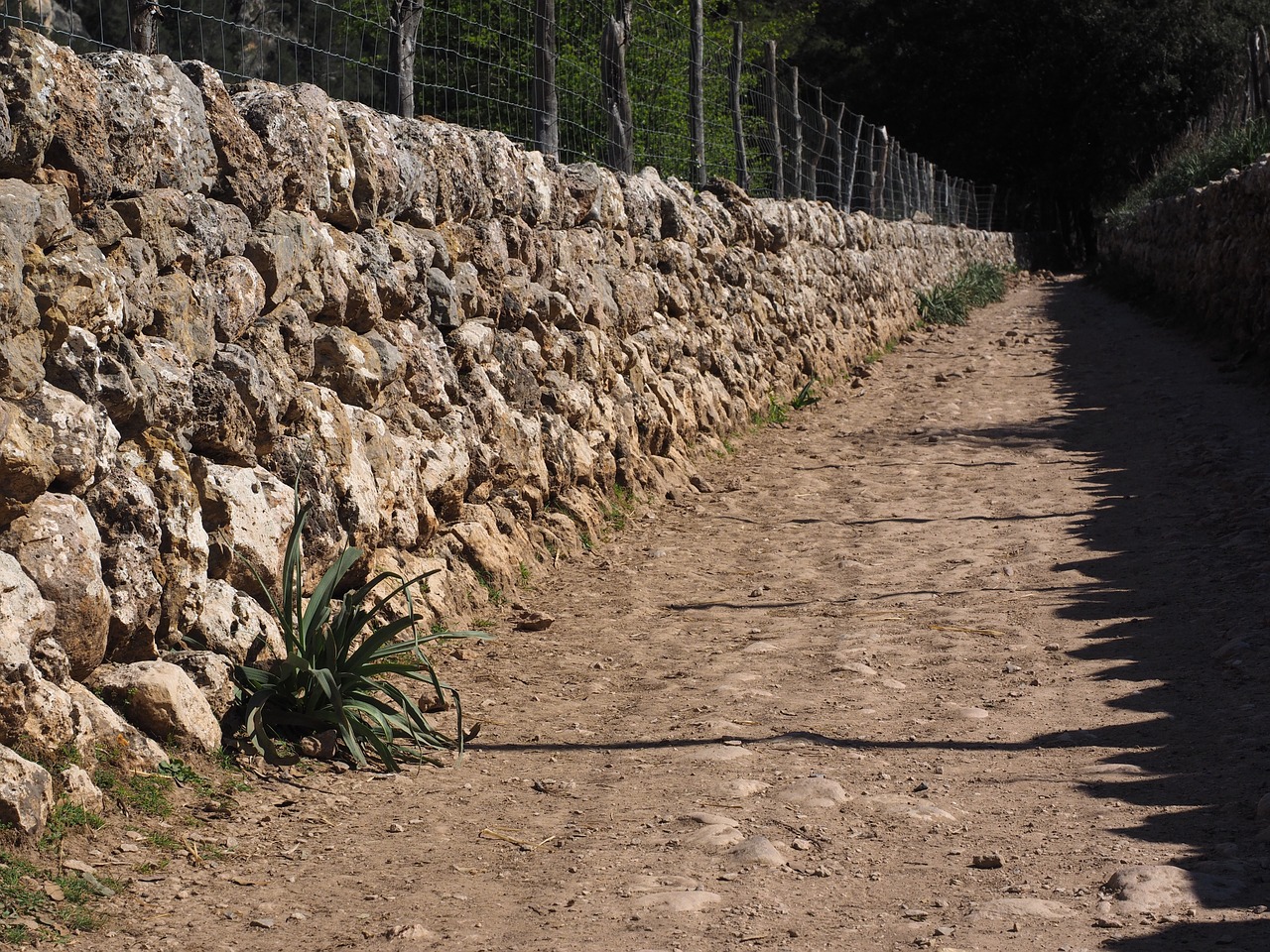 stone wall lane away free photo
