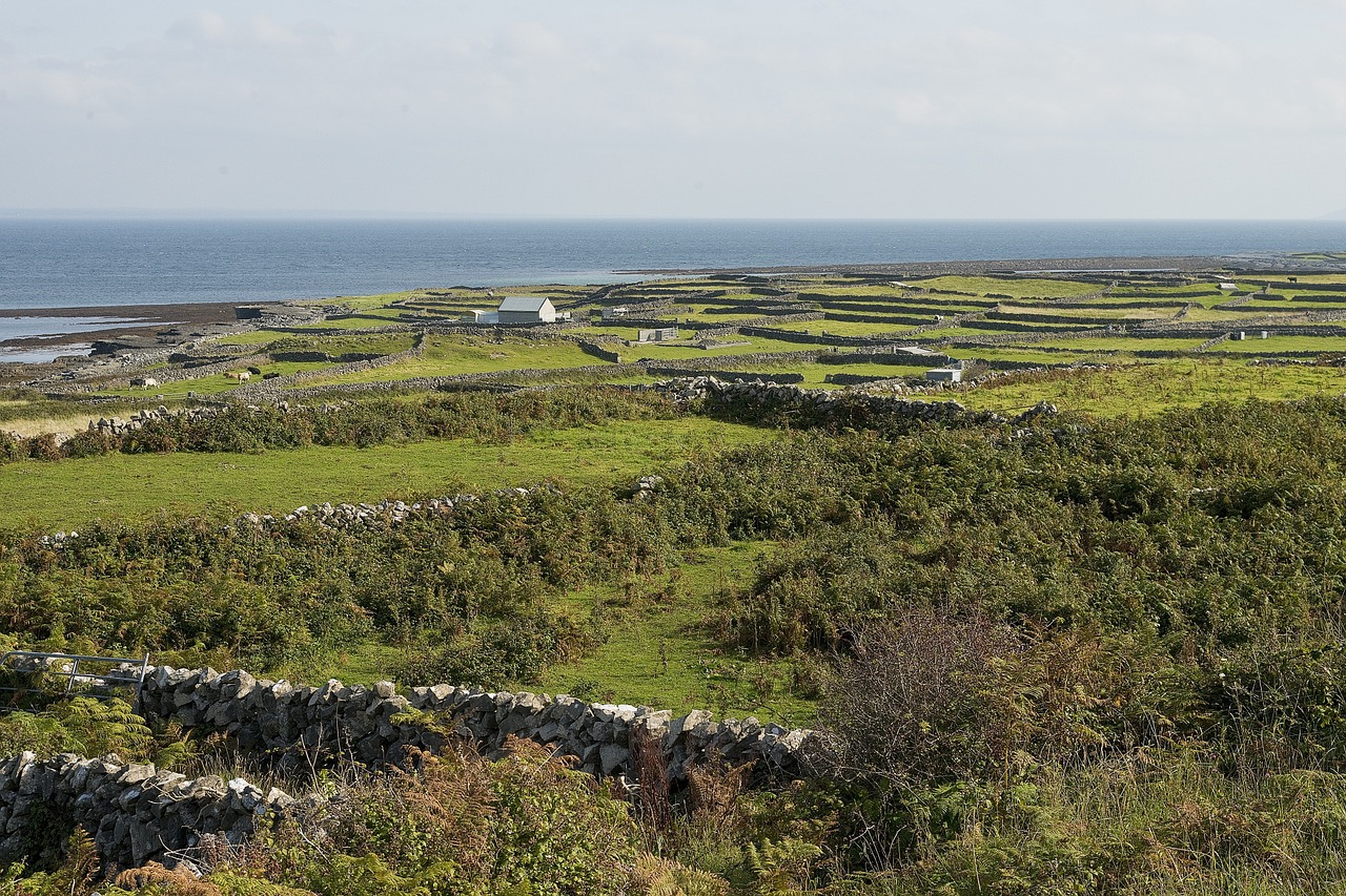 stone wall aran islands beach free photo