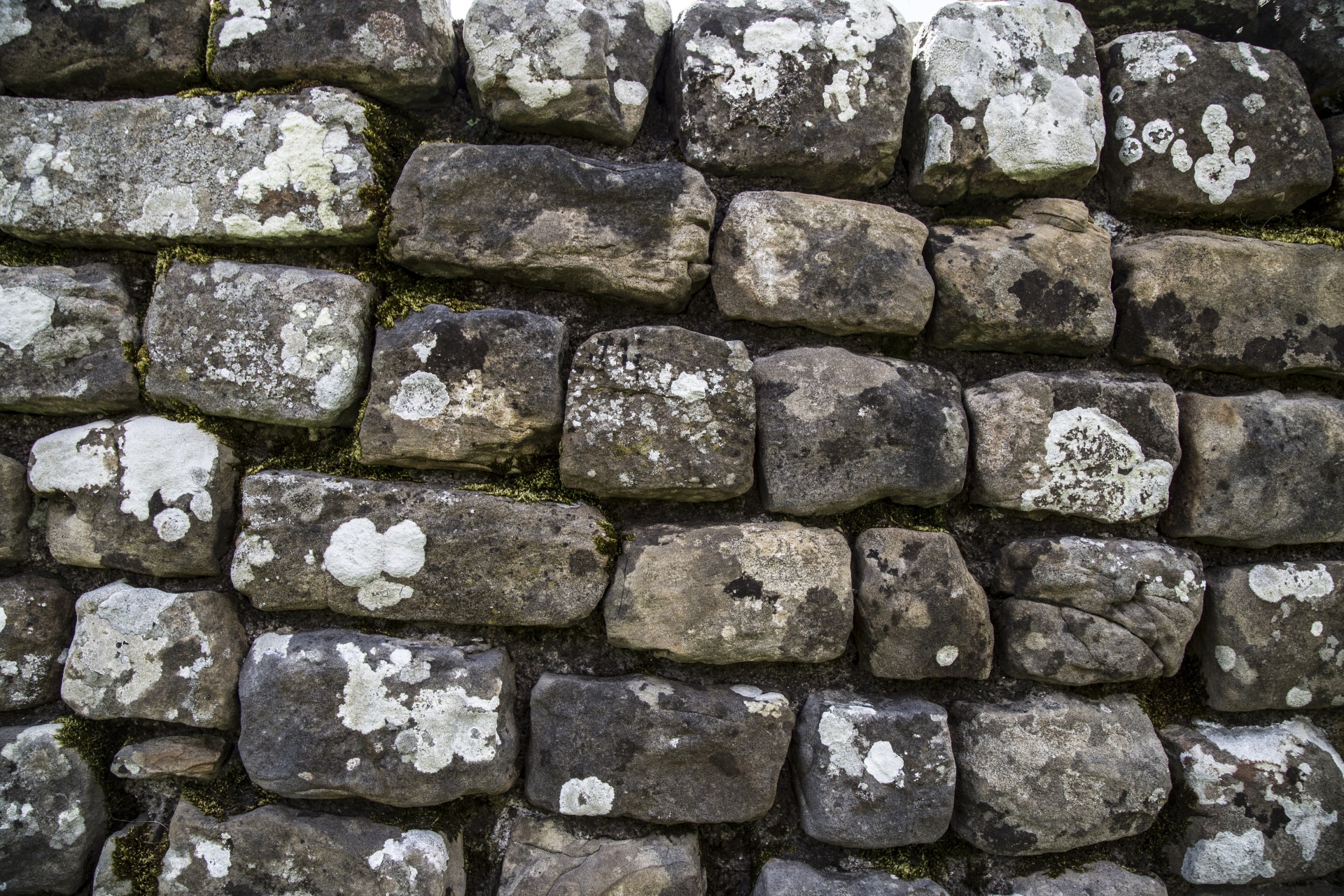 stone stones wall free photo