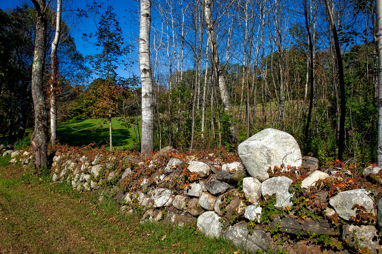 stone wall fence rocks free photo