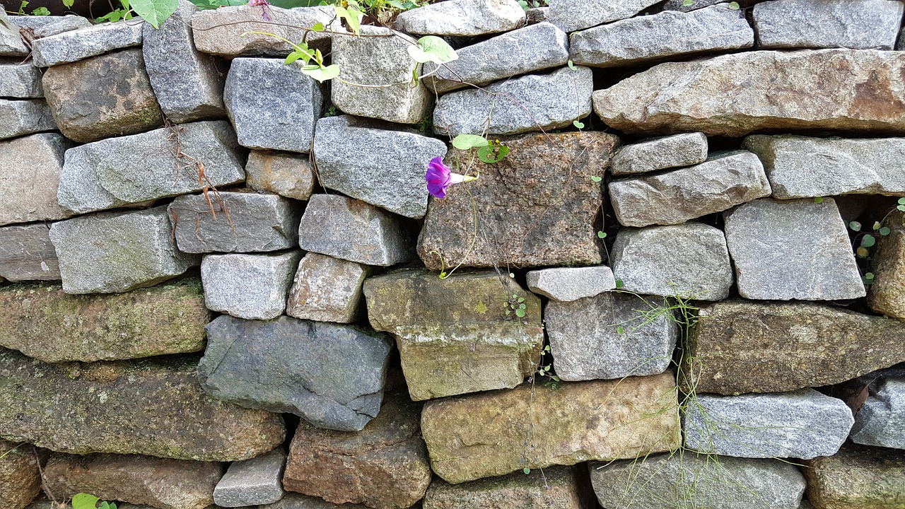 stone wall flowers pattern free photo