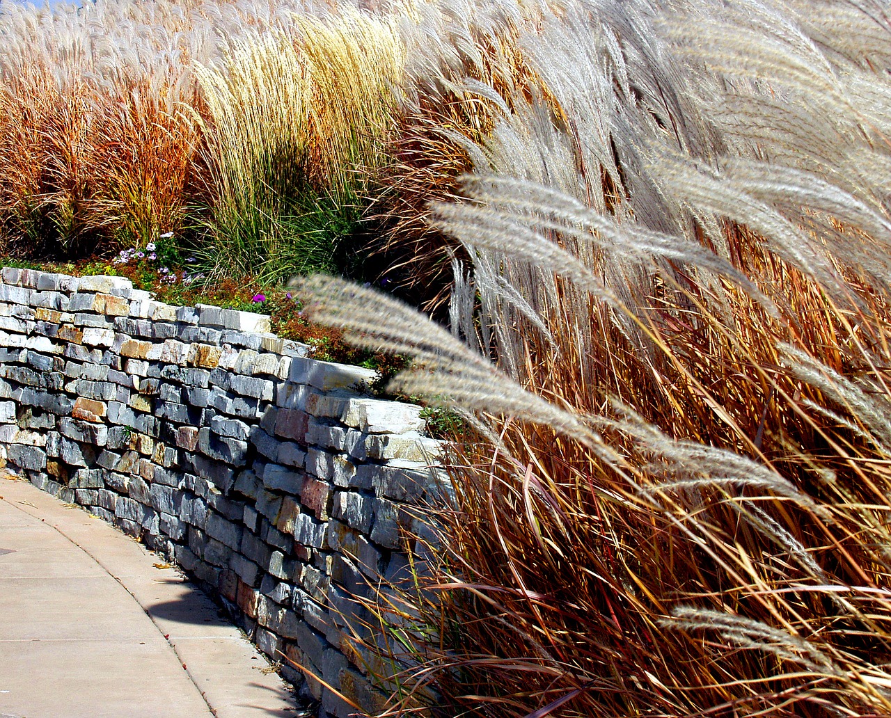 stone wall tall grass scenic free photo