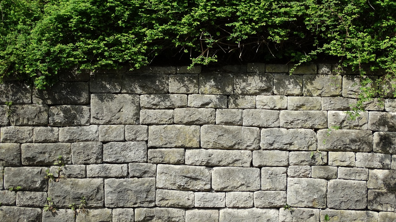 stone wall plant nature free photo