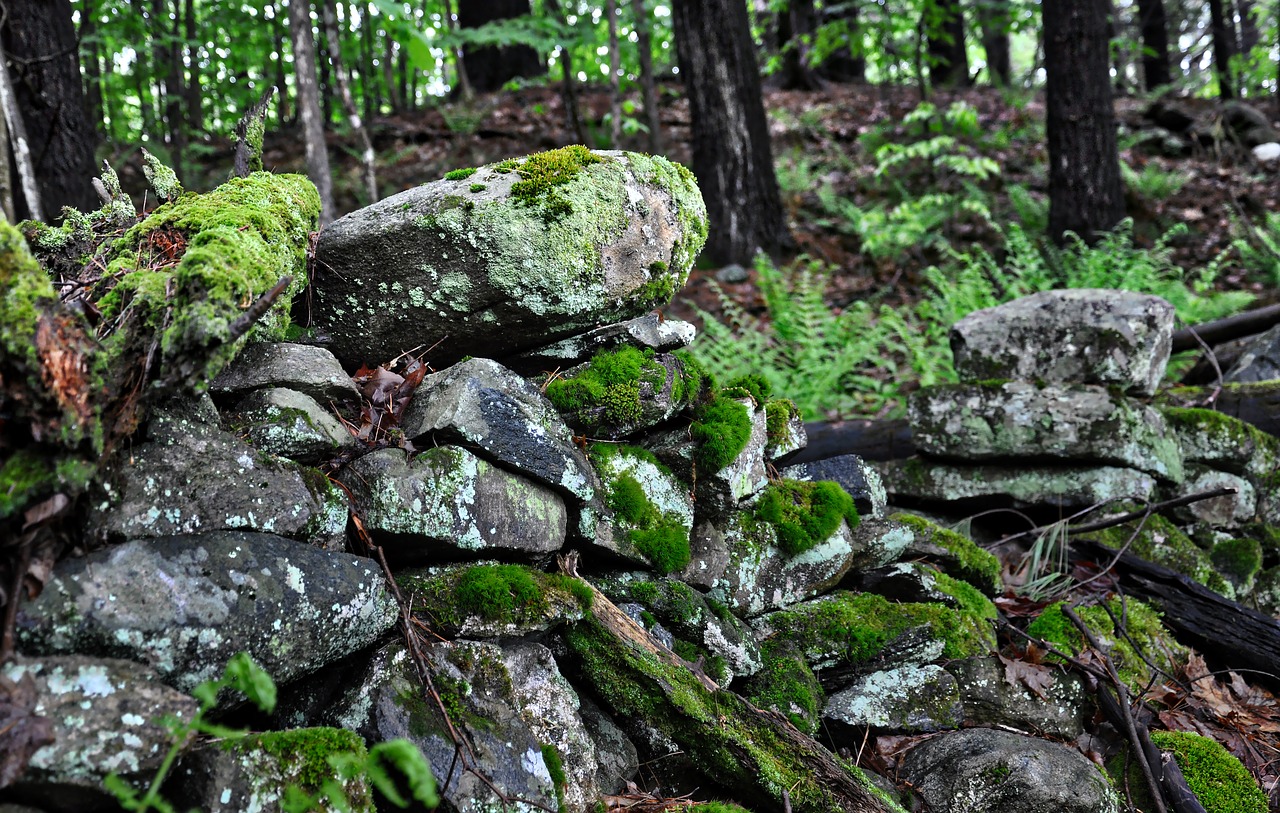 stone wall stones wall free photo