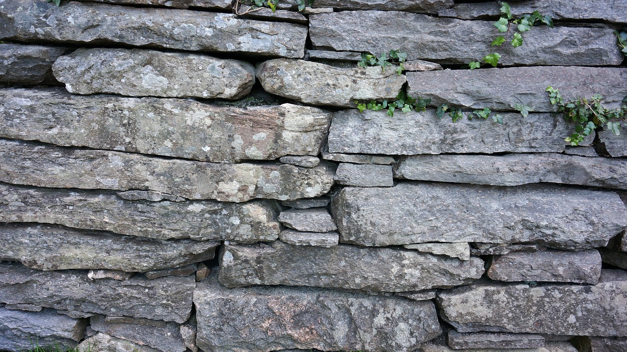 stone wall nature wall free photo