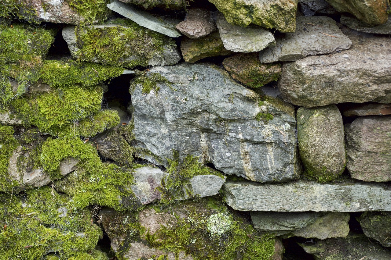 stone wall moss texture free photo