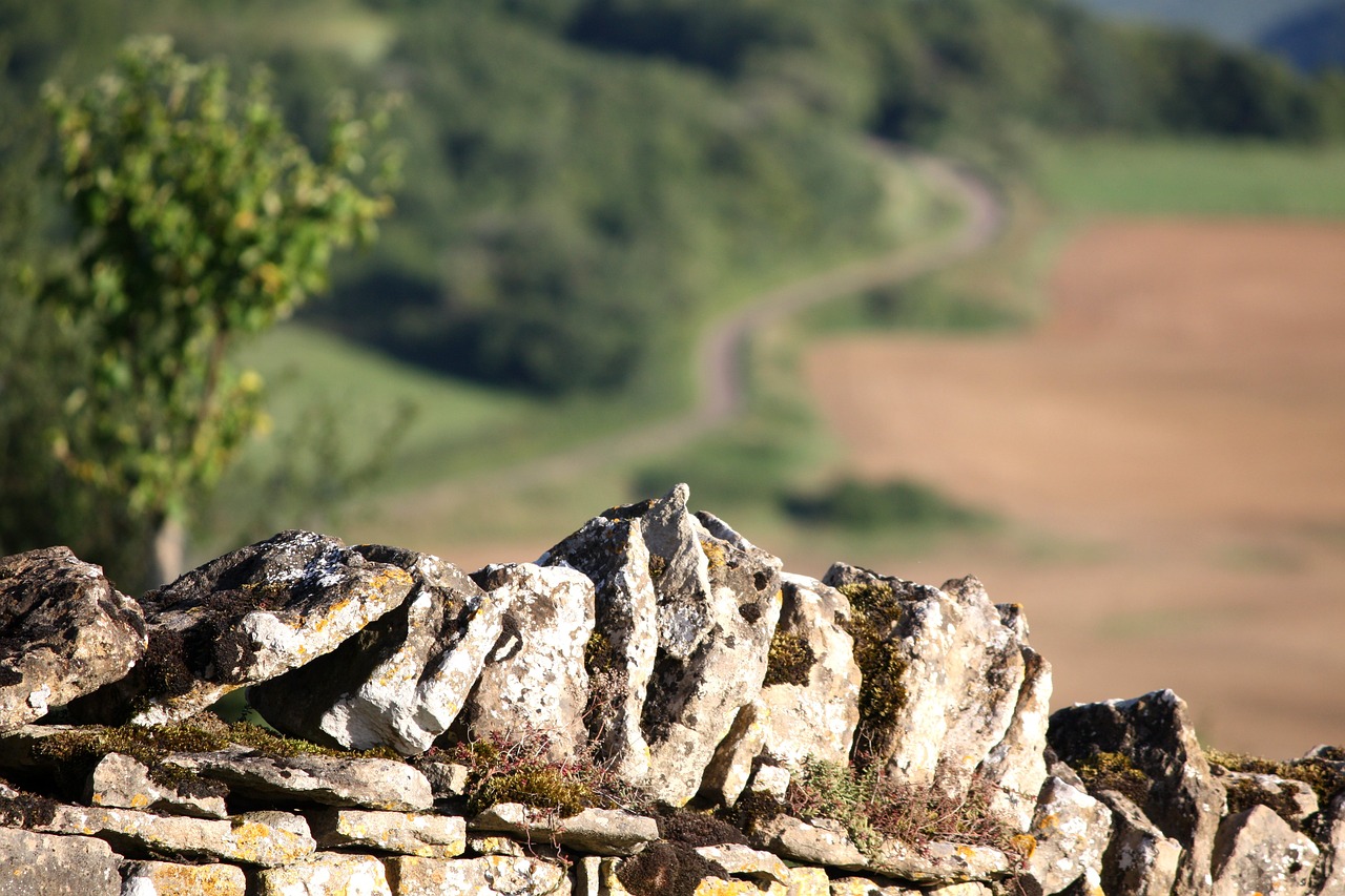 stone wall stones burgundy free photo
