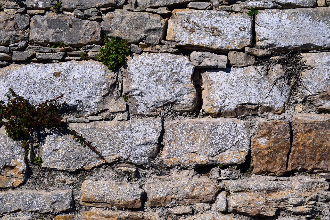 stone wall  texture  structure free photo