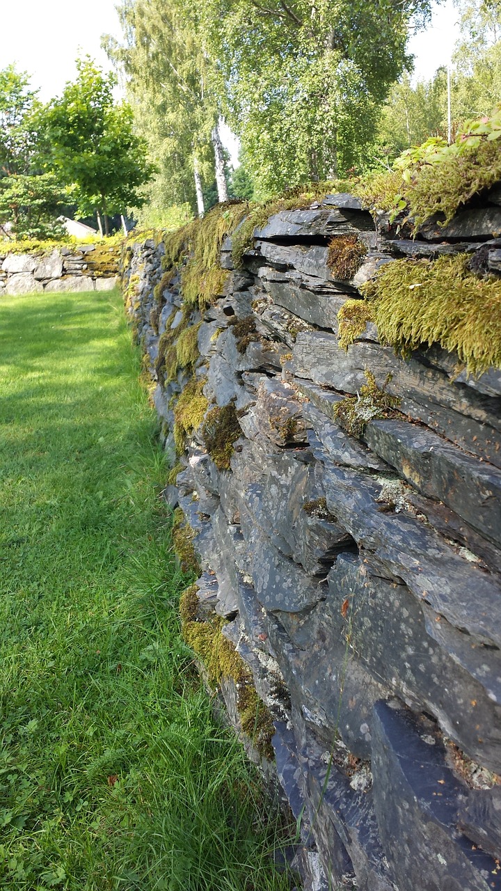 stone wall wall moss free photo