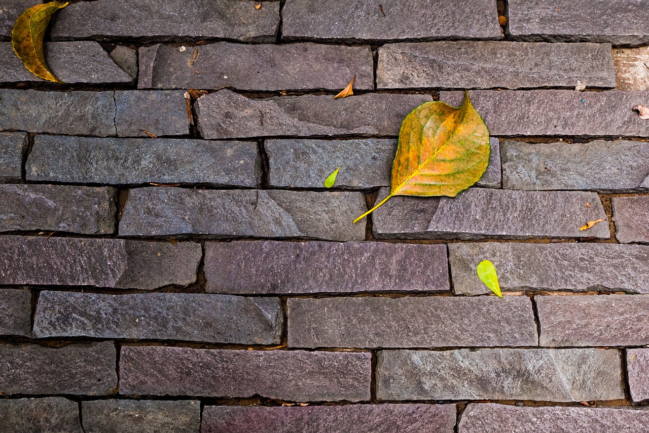 stone wall texture autumn free photo