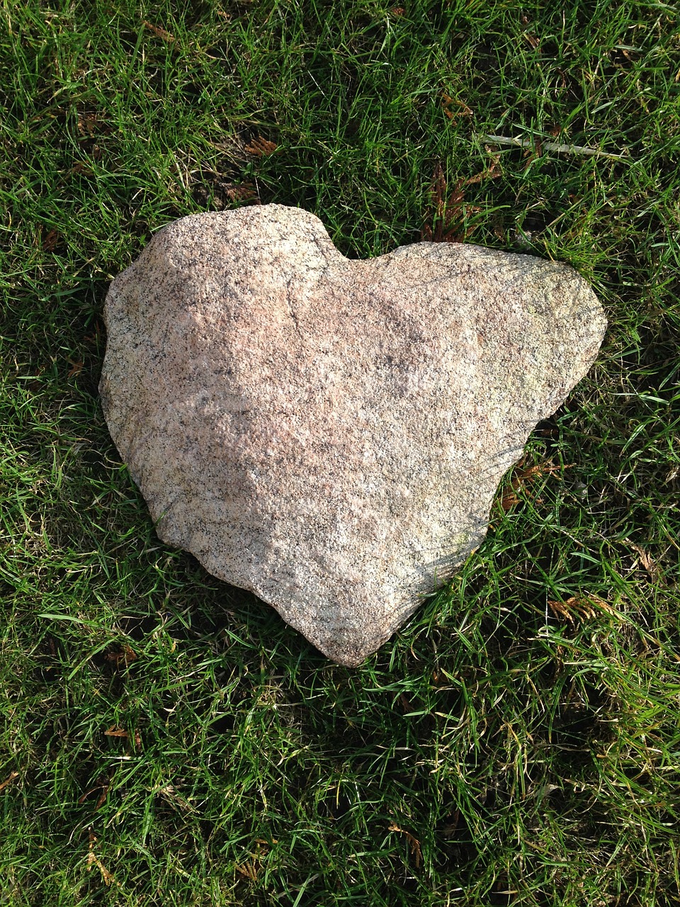 stoneheart stone heart free photo